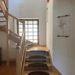 فيلة Zen House U Podebrad - Kanin