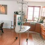 فيلة Zen House U Podebrad - Kanin