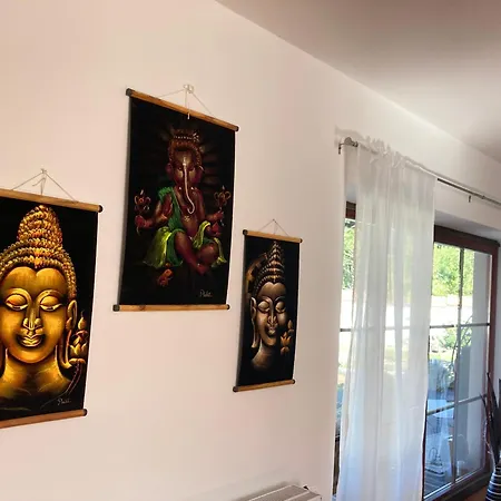 Zen House U Podebrad - Kanin 포데브라디